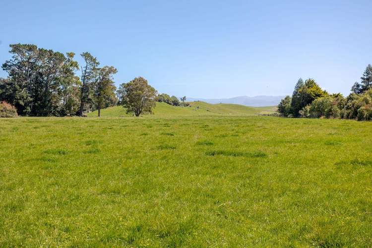 61 Church Road Dannevirke_2