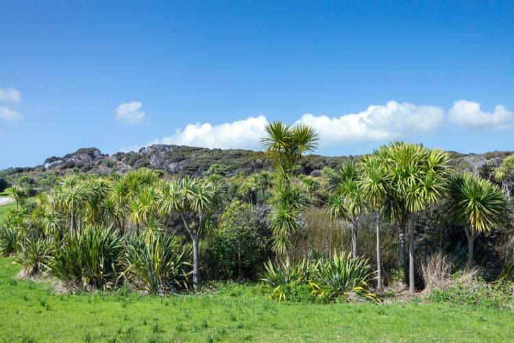 Lot 1/449 Matai Bay Road Karikari Peninsula_16