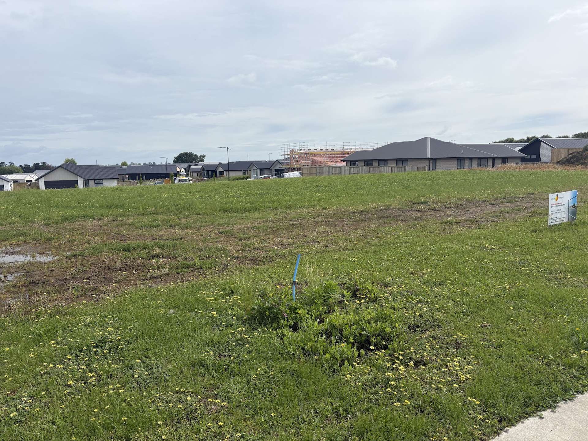36 Frontier Road Te Awamutu_0