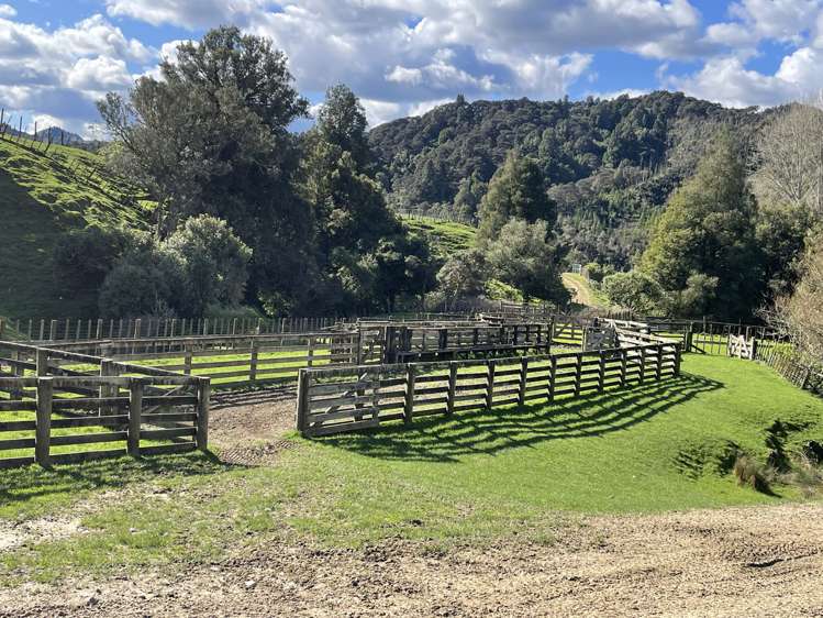 166 Saddler Road Ruapehu_29