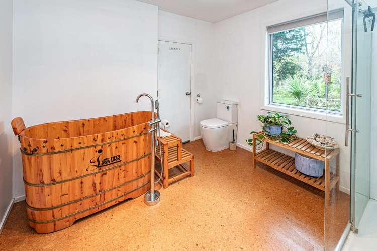 46 Mount View Road Bastia Hill_13