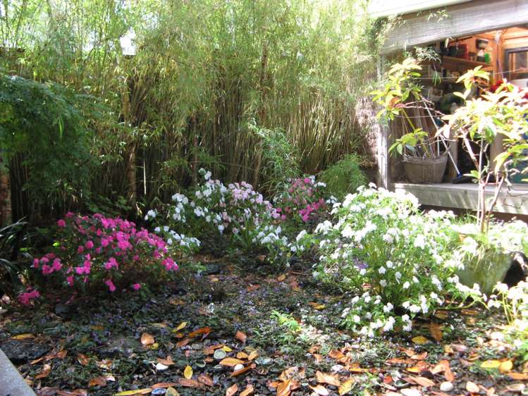 2/26a Fifth Avenue Mount Albert_8