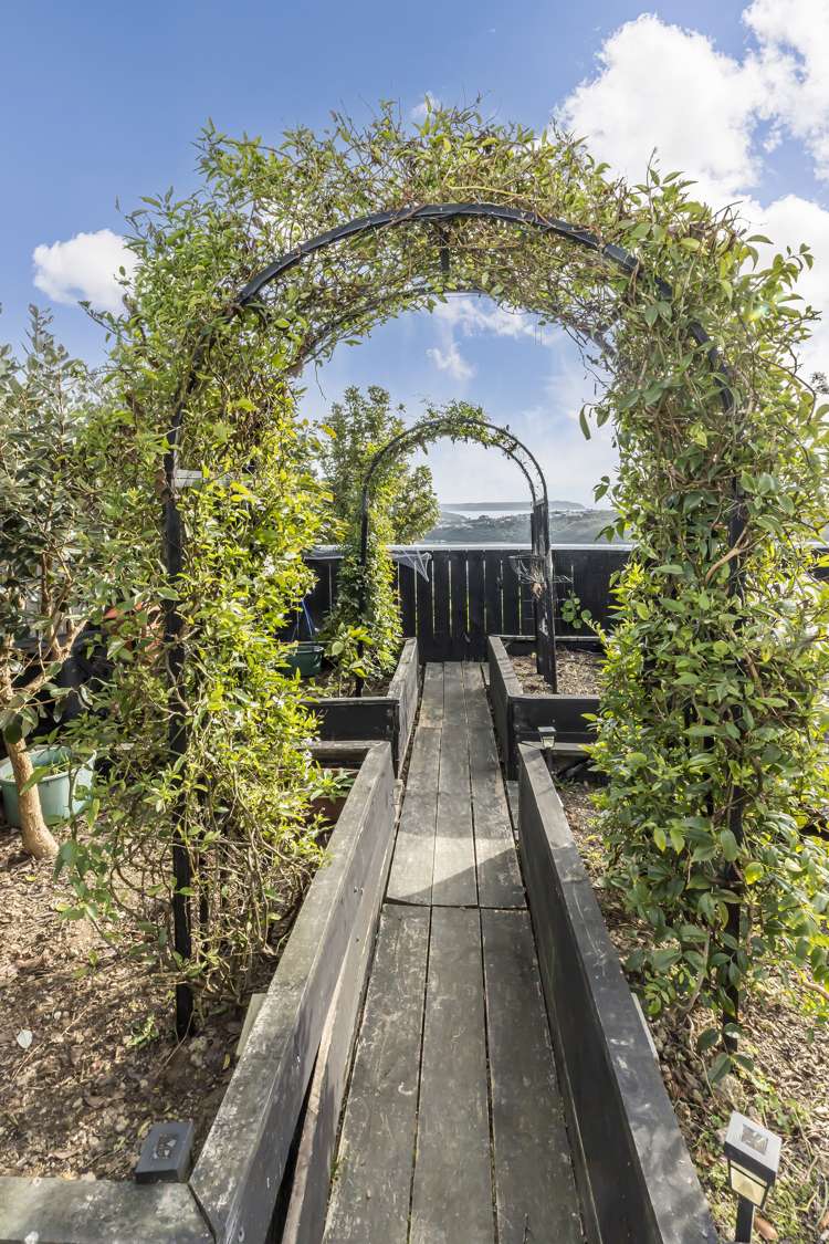 128 Conclusion Street Ascot Park_23