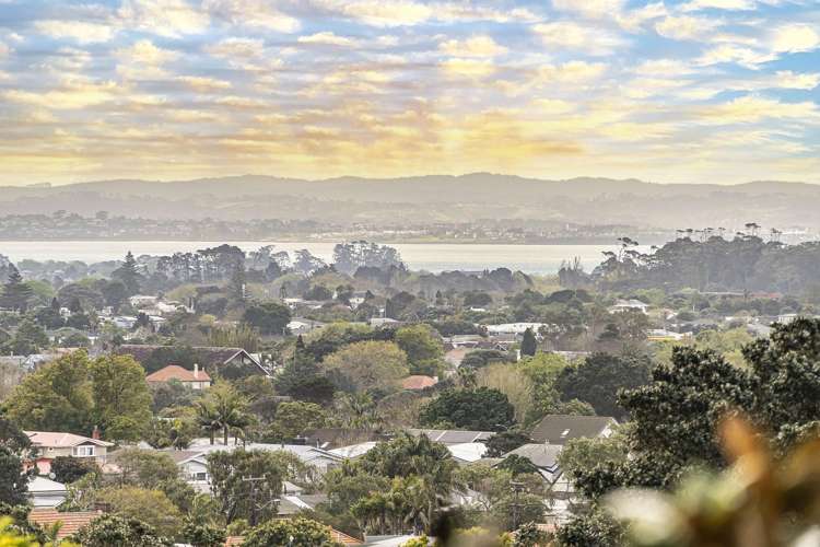 14 Dally Terrace Mount Roskill_25