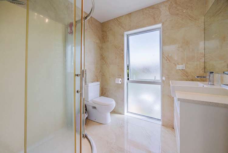 10 Helianthus Avenue Flat Bush_19
