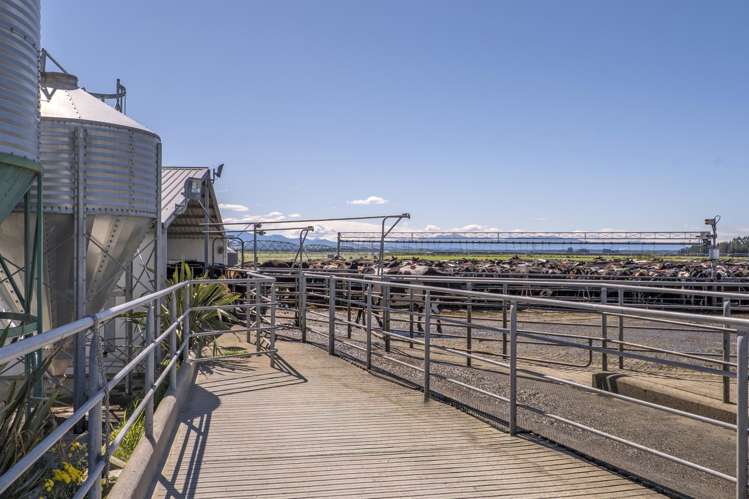 716 Mitchells Road Bankside_21