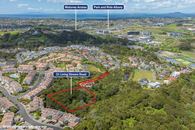 31 Living Stream Road Albany Heights_3