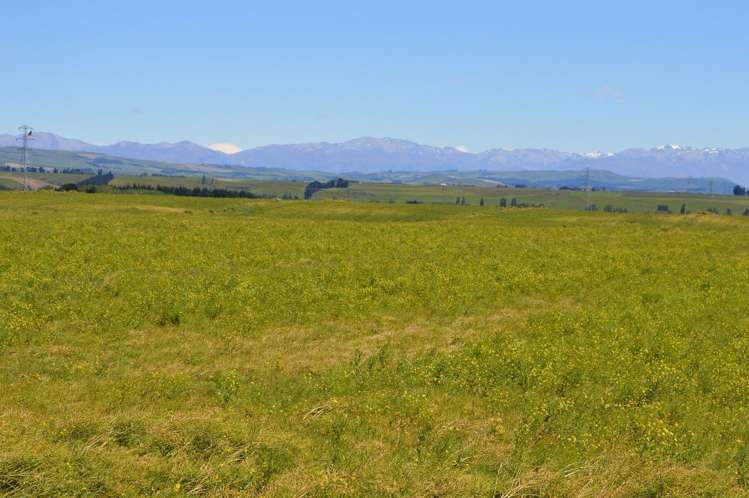 Smart Munro Road Timaru_4