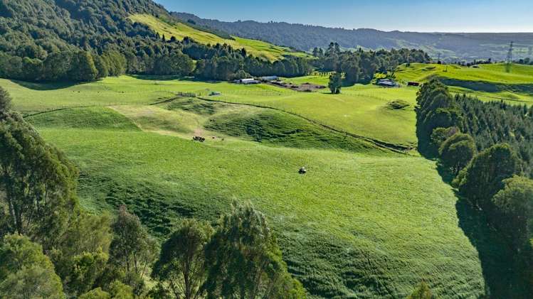 271 Endean Road Ngongotaha Valley_11