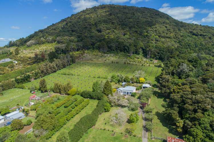 1449 State Highway 14 Maungatapere_16