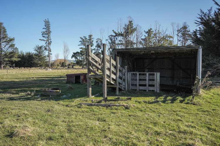 21 Miller Street Cheviot_22