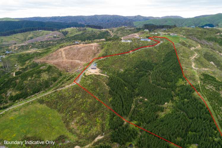 323 Ngahere Park Road Turitea_2