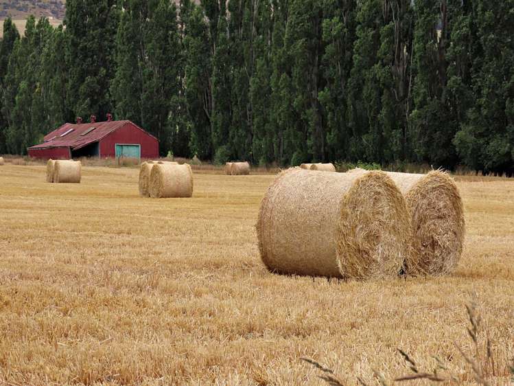 Ettrick Road Roxburgh_1