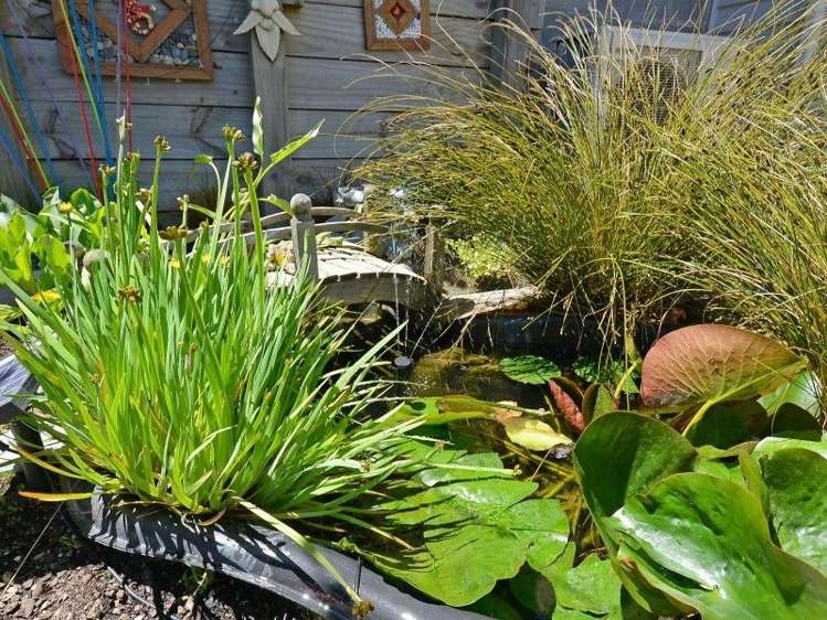 124 Kirton Drive Riverstone Terraces_18