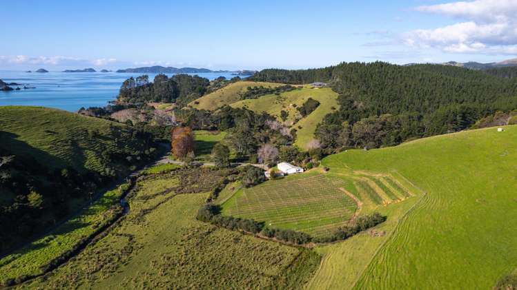 Lot 1, 4, and 9 Mahinepua Road Kaeo_11