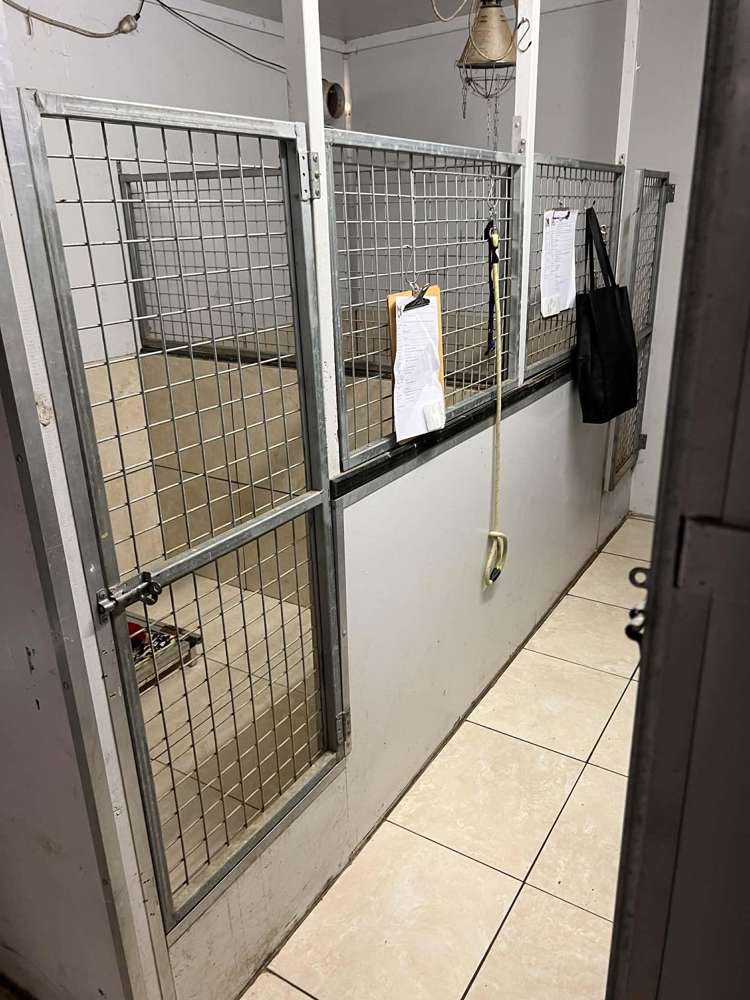 128 Mako Mako Road Levin_22