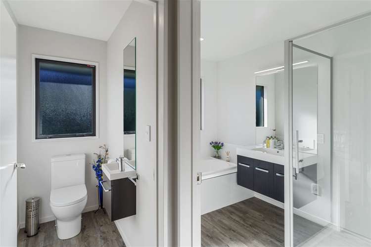 100 Tauhinu Avenue Lincoln_10