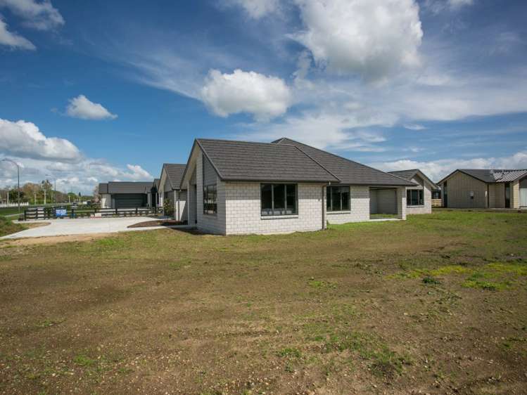 93 Saint Kilda Road Cambridge_20