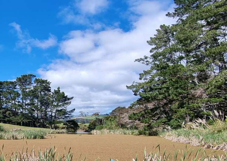 48 Marsh Road Wharehine_6