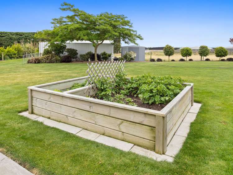 122A Tarbottons Road Tinwald_25