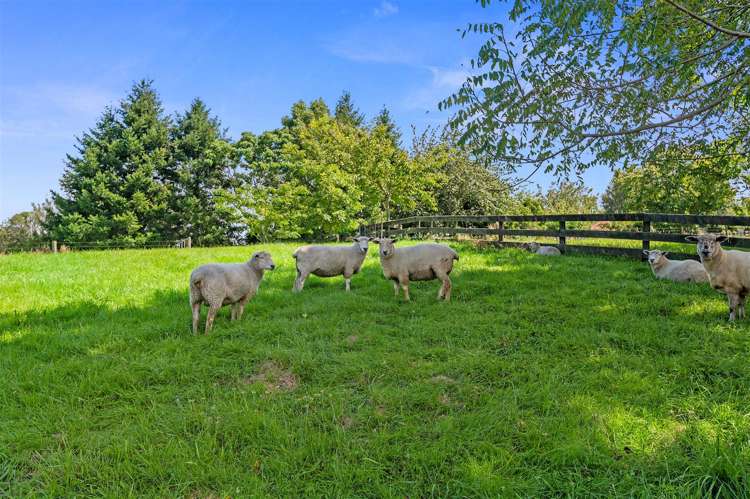 1 Banksia Place Tikitere_26