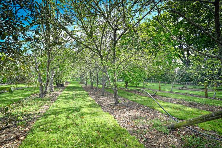 72 Raupare Road Twyford_19