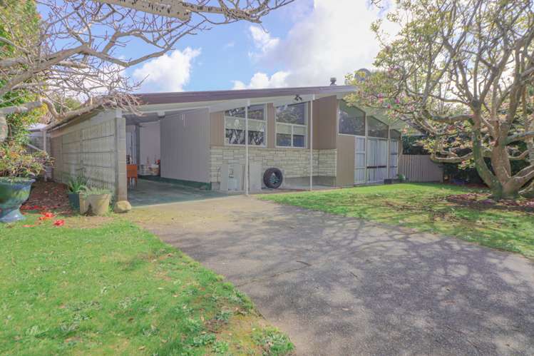 29 Argyle Avenue Levin_15