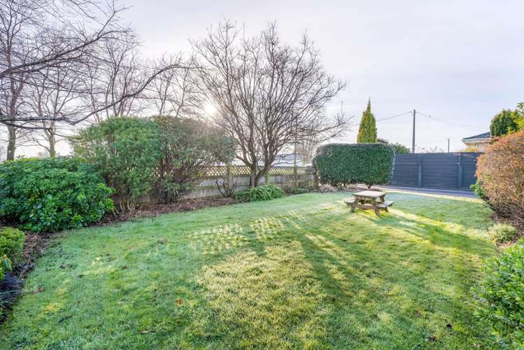 65 Eglinton Street Winton_13