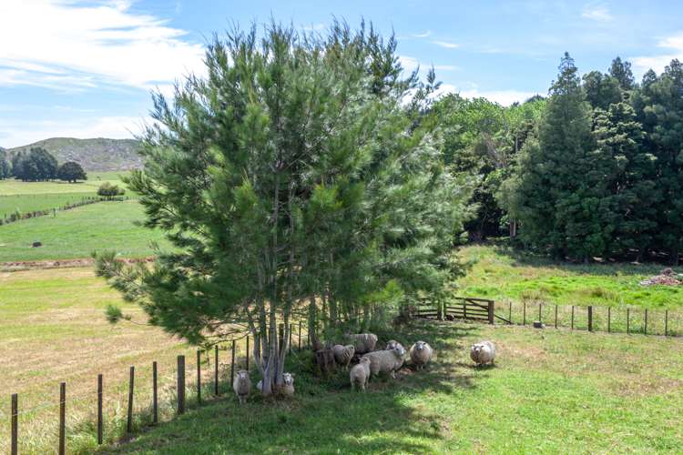 75 Harris Road Glenbervie_22