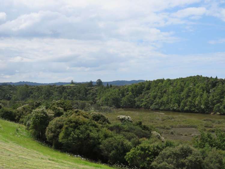 Pataua North Road Pataua_25