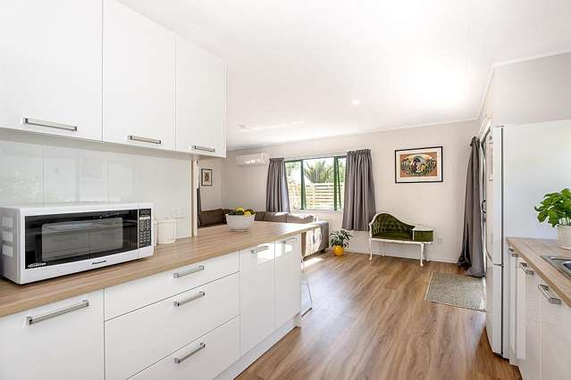 149A Ballance Street Whataupoko_2