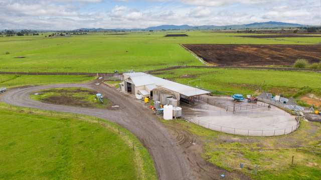 1477D Piako Road Morrinsville_2