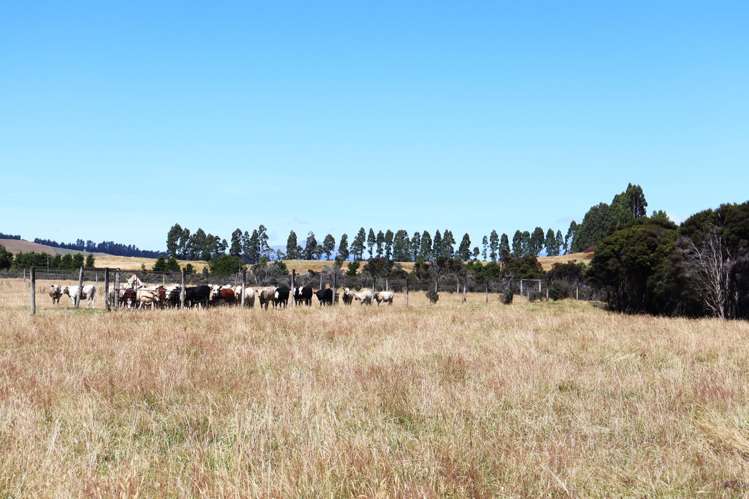 15B Sinclair Road Te Anau_14