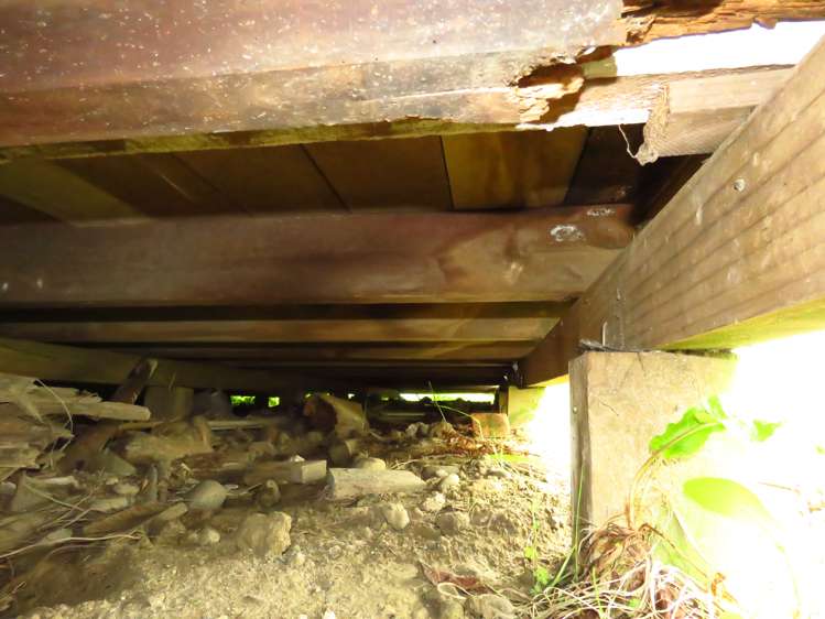 44 Adderley Street Westport_24