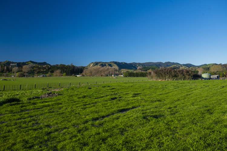 82 Hansen Road Makauri_15