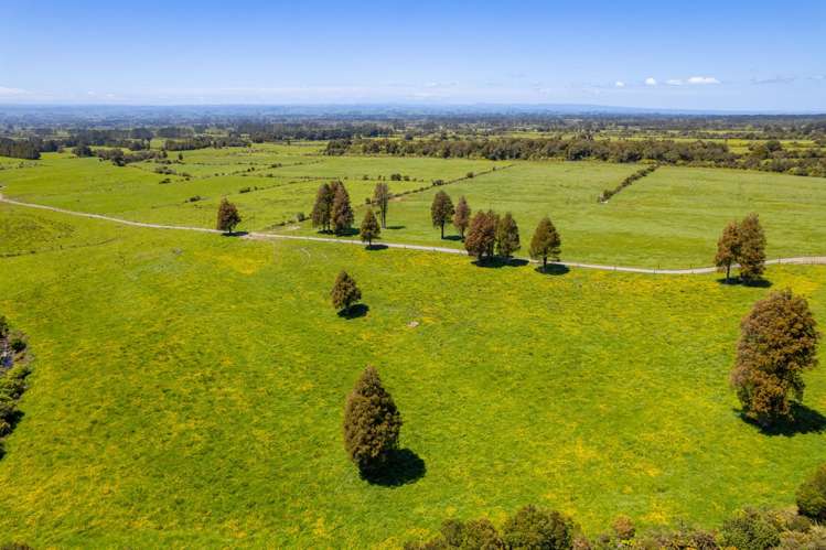 869 Dudley Road Upper Kaimiro_3