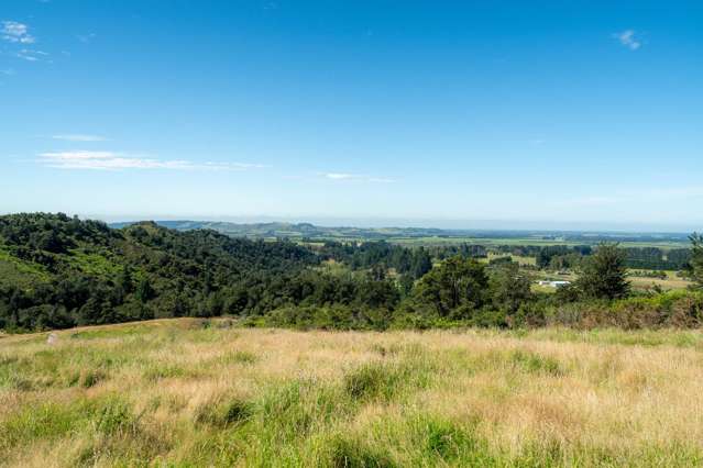 Tuscany Downs - 74 Glentui Bush Road Oxford_4