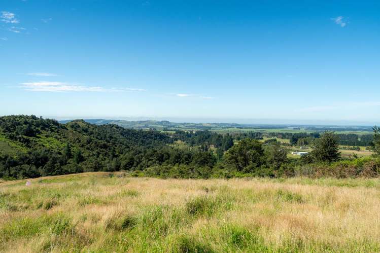 Tuscany Downs - 74 Glentui Bush Road Oxford_4