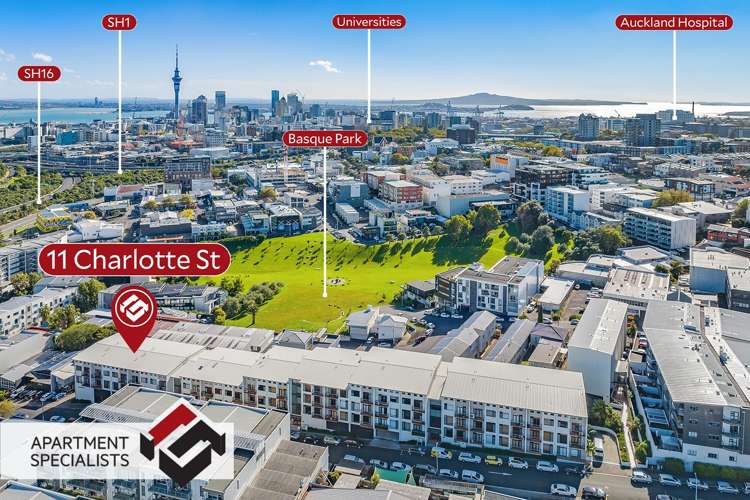 11 Charlotte Street Eden Terrace_20