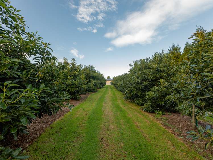 24c Pahoia Road Whakamarama_6