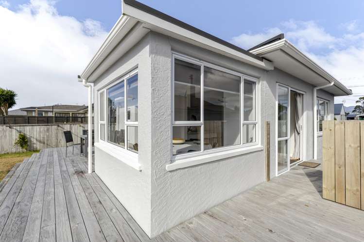 319 Carrington Street Vogeltown_4
