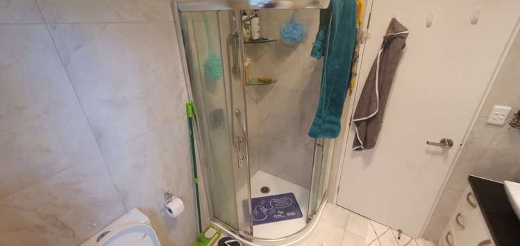 18 Tinaku Road Flat Bush_17