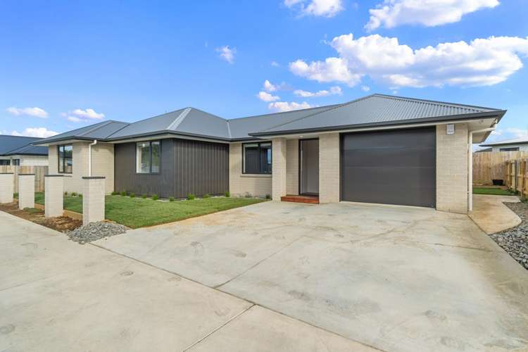 65b Whitmore Street Kihikihi_14