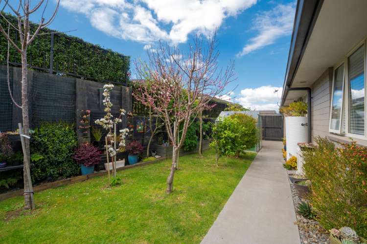 54/4 Greystone Place Omokoroa_14