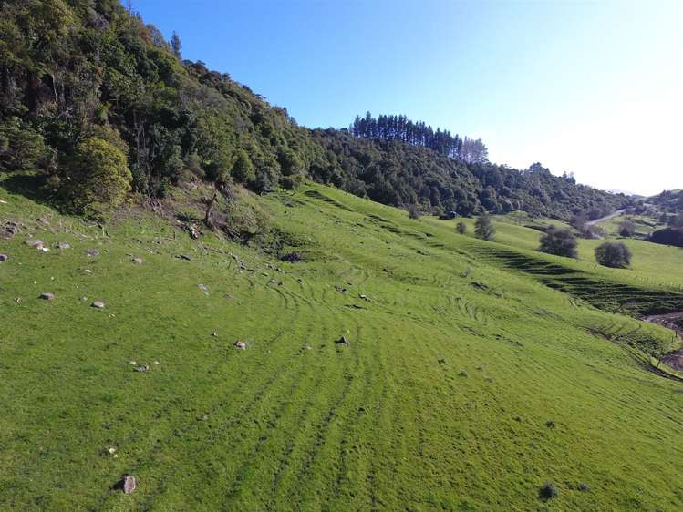 523 Honikiwi Road Otorohanga_18