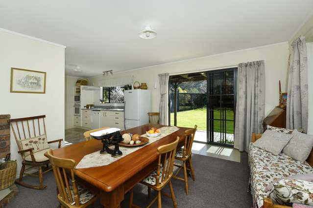 166 Wakamarina Road Havelock_4