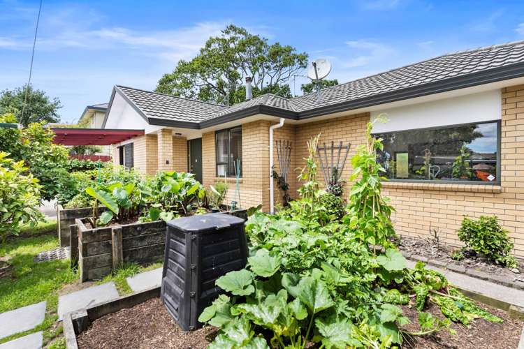 3 Carling Avenue Massey_12