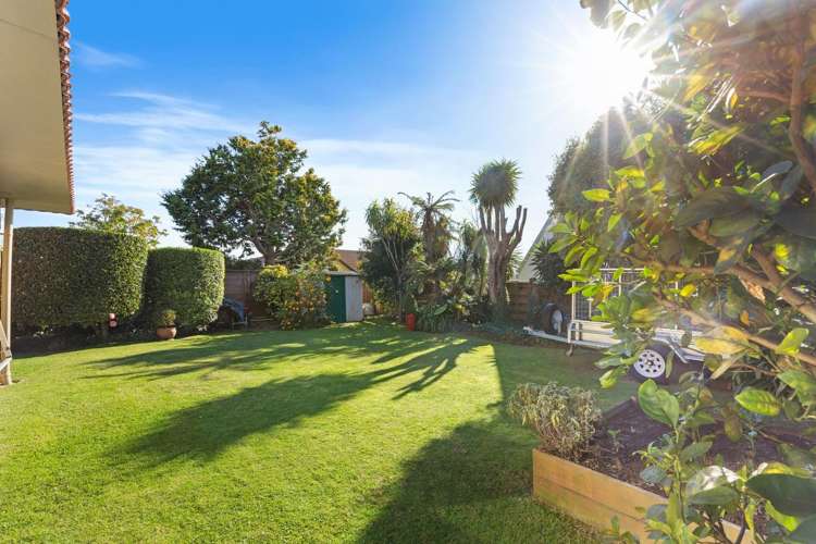 341 Levers Road Matua_30