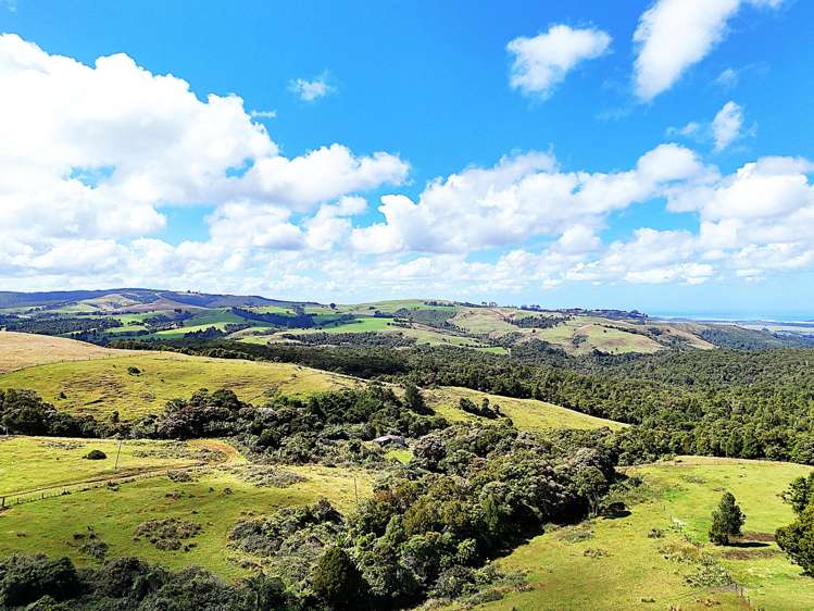 870 Marlborough Road Dargaville Surrounds_2