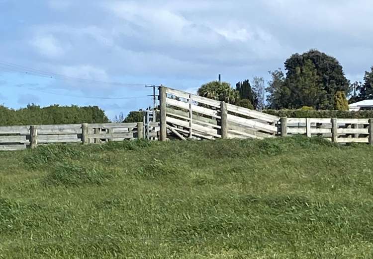 203 Kakaramea Road Kakaramea_43